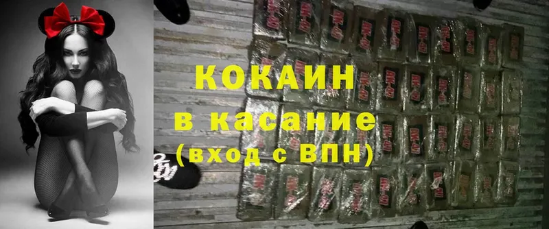 купить закладку  Дмитровск  Кокаин FishScale 