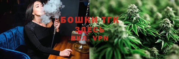 молекула духа Михайловск