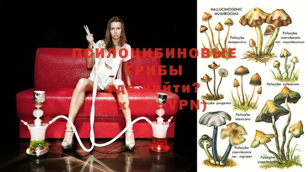 молекула духа Михайловск